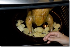 chickenroaster echando patatas