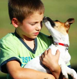 El adiestramiento mejora el comportamiento de los perros.